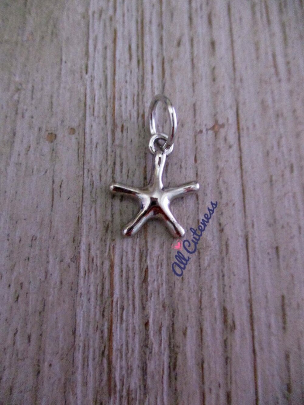 🎀 Brittle Starfish Charm